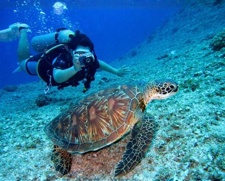 Daymaniyat Island Snorkeling